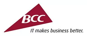 Business Consulting Center